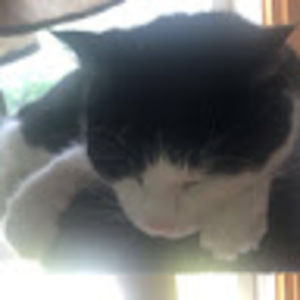 Meet your Posher, Maddi